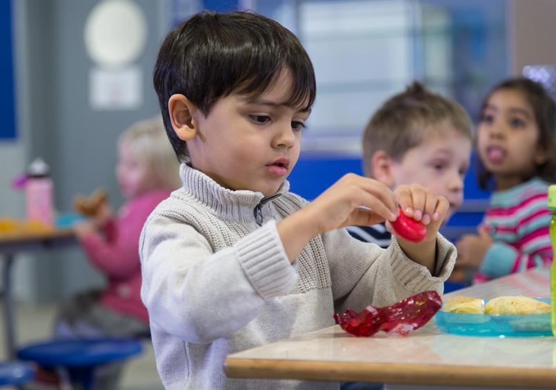 Benefits of a Premium Curriculum in Early Childhood Education
